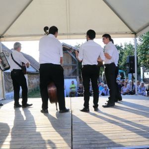 img 0055 img 0055