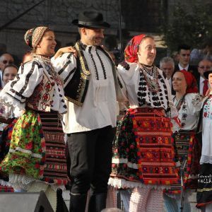 tanac 1123 19 tanac 1123 19