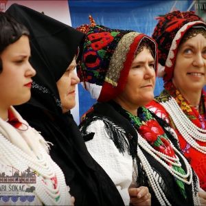 sarvas sarvas